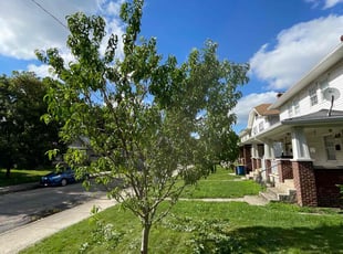 Bush Trimming by Anthony Grant for Elizabeth S. in Indianapolis, IN