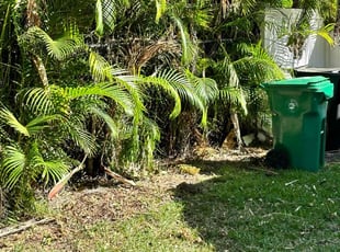 Bush Trimming by Kuisman Mazariegos for Bob P. in Port St. Lucie, FL