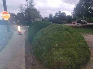 Weeding by Aaron Neece for Joe V. in Colorado Springs, CO