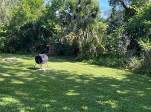 Eileen H.'s Lawn Maintenance service result