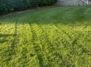 Jeremy D.'s Yard Cutting service result