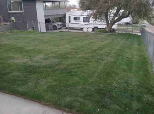 Theresa G.'s Lawn Mowing Service service result