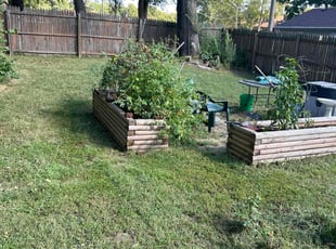 Tom S.'s Lawn Mowing service result