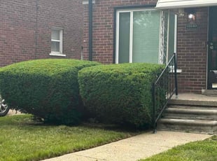 Bush Trimming by Charles Lewis for Edward s. in Detroit, MI