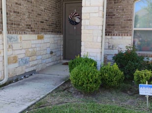 Weeding by Annette Amador for David C. in Cedar Park, TX