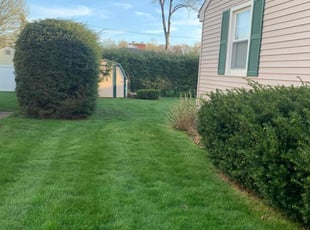 Roberto R.'s Lawn Mowing service result