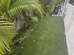 Weeding by David Scheafnocker for Sara M. in Naples, FL