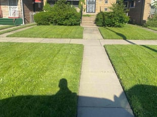 Alex L.'s Lawn Maintenance service result