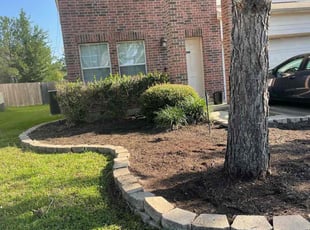 Weeding by Danny Blanco for sabrina s. in Houston, TX