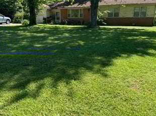 ryan b.'s Lawn Mowing Service service result