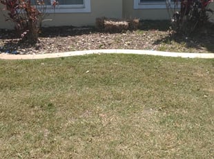 Cleanups by Jonathan Cruz for Rachel H. in Port Orange, FL