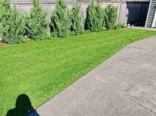 Vicky N.'s Lawn Mowing service result