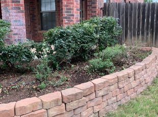 Weeding by Stanmore Hinds for Jason K. in San Antonio, TX