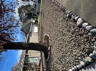 Leaf Removal by Gabriel Aldrete for Andrew S. in Sacramento, CA