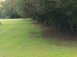 Weeding by Deshane west for Annie B. in Quincy, FL