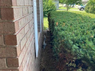 Cleanups by Brandon McDonald for Katie J. in Springfield, MO