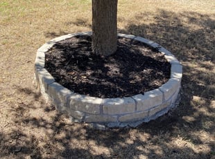 Leaf Removal by Xavier Dillard for Shenikwa C. in Frisco, TX