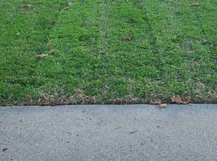 Sean C.'s Lawn Care service result