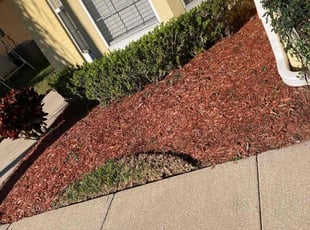 Weeding by Jay Jackson for Otis J. in Davenport, FL