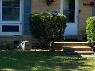 Sharon H.'s Bush Trimming service result