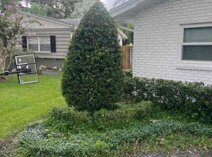 Bush Trimming by Ben Handy for Dennis B. in Orlando, FL