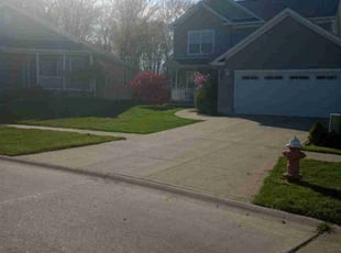 Barbara S.'s Lawn Maintenance service result