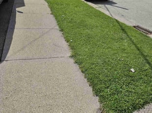 Deborah S.'s Lawn Service service result