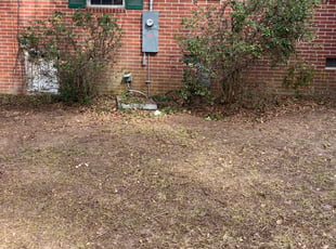 Bush Trimming by Terrain Lewis for Zachary E. in Tallahassee, FL