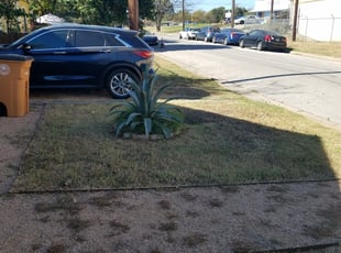 Leaf Removal by Juan Fonseca for Barry F. in Austin, TX
