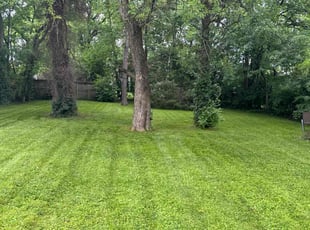 Ken S.'s Lawn Mowing service result