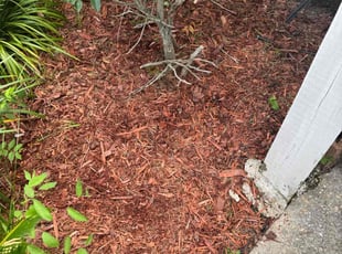 Weeding by Marcus Simon for Courtney S. in Baton Rouge, LA