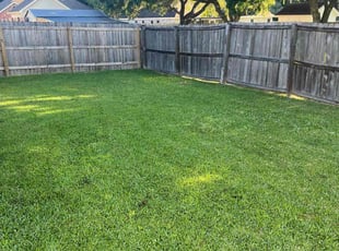 Lorraine P.'s Lawn Mowing service result
