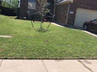 Weeding by Simon Diamond for Renee W. in Irving, TX