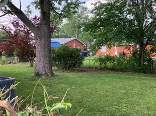 Cleanups by Joel Laumas for Teresa R. in Lexington, KY
