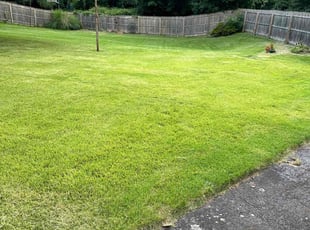 Freeman H.'s Lawn Mowing Service service result