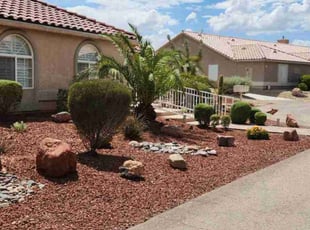 Bush Trimming by Lamont Johnson for Carl T. in Las Vegas, NV