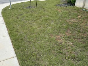 Weeding by Carlos Garza for Michael Q. in Bulverde, TX