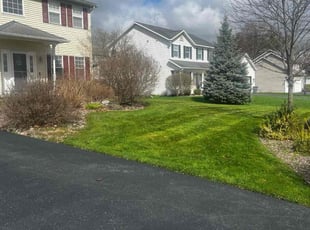 Harry M.'s Lawn Mowing service result
