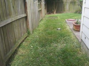 Cleanups by Kimberly Gonzales-Franco for Nichole D. in Houston, TX