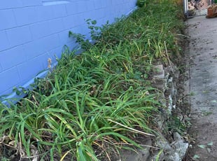 Weeding by Osvaldo Corcuera for Edward O. in Omaha, NE