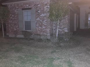 Bush Trimming by terence lang for Chris P. in Prairieville, LA