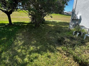 Cleanups by Buck Robinson for Keith B. in Clermont, FL