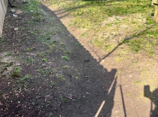 Leaf Removal by Demarcus Labon for Sydney M. in Memphis, TN