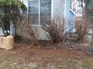 Bush Trimming by Ross Olin for KENYA S. in Eden Prairie, MN