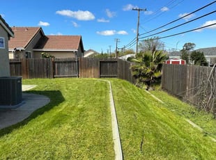 Cleanups by Diego Mojica for Ida M. in Sacramento, CA