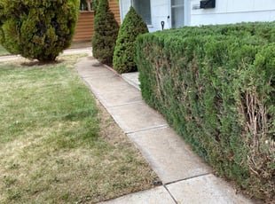 Cleanups by David Maes for Jamie L. in Denver, CO