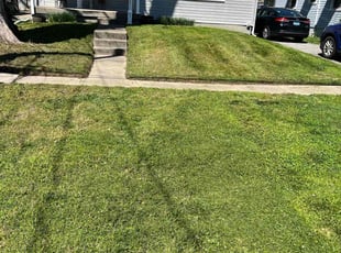 Anastasia S.'s Lawn Care service result
