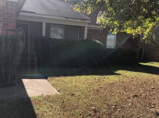 Bush Trimming by DeAnthony Streeter for Michael D. in Southaven, MS