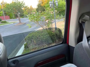Weeding by Kenneth Goodwin for Henry J. in Puyallup, WA