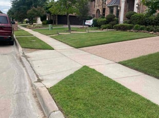 Amitabh G.'s Lawn Care service result